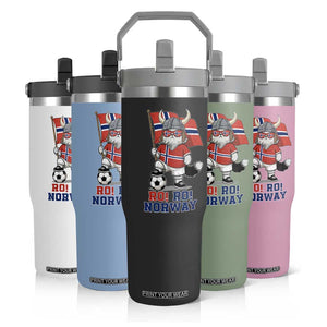 Ro Ro Norway Flip Straw Tumbler Norwegian Pride Cat Lover Norway Flag Gift TS12 Print Your Wear