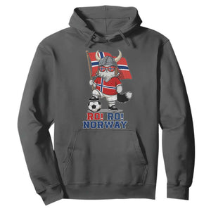 Ro Ro Norway Hoodie Norwegian Pride Cat Lover Norway Flag Gift TS12 Dark Heather Print Your Wear