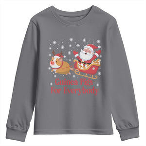 Guinea Pigs For Everybody Youth Sweatshirt Funny Xmas Gift TS12 Charcoal Print Your Wear