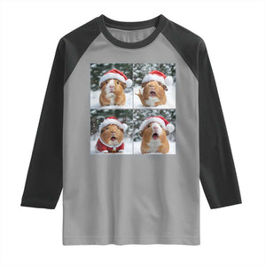 Funny Guinea Pig With Santa Hat Photobooth Raglan Shirt Christmas Gift TS12 Sport Gray Black Print Your Wear