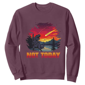 Funny Dinosaur Baseball Meteorite Sweatshirt Not Today