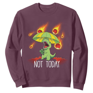 Dinosaur Meteor Shower Astronomy Humor Sweatshirt Not Today