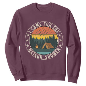 I Came For The Meteor Shower Sweatshirt Stargazer Camping Gift