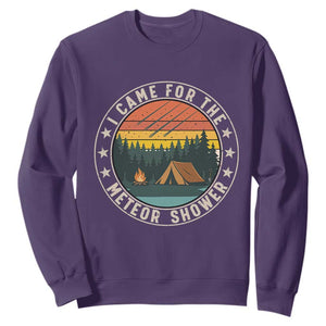 I Came For The Meteor Shower Sweatshirt Stargazer Camping Gift