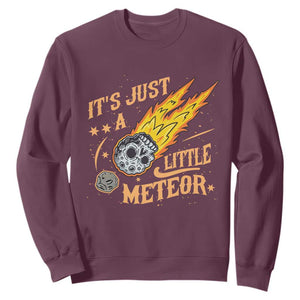 Funny Skull Meteorite Sweatshirt Just A Little Meteor