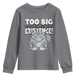 Funny Maine Coon Cat Youth Sweatshirt Too Big To Care About Your Existence TS12 Charcoal Print Your Wear