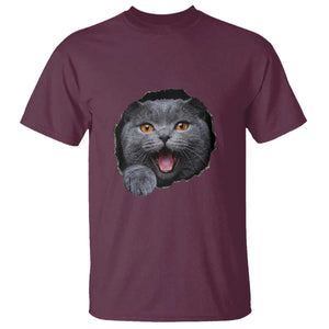 Cute British Shorthair Cat Peeking Through Cracked Wall T Shirt TS12 Maroon Print Your Wear