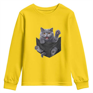 Cute British Shorthair Cat In Pocket Youth Sweatshirt Cat Lover TS12 Daisy Print Your Wear