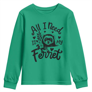 All I Need Is My Ferret Youth Sweatshirt Cute Exotic Pet Owner Gift TS12 Irish Green Print Your Wear