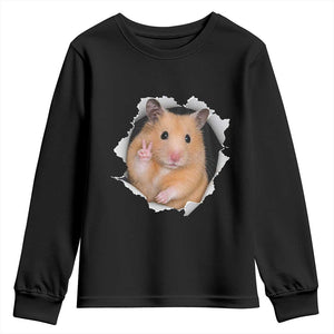 Funny Curious Hamster Peeking Through A Cracked Wall Meme Youth Sweatshirt TS12 Black Print Your Wear