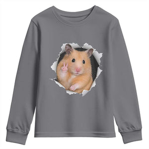 Funny Curious Hamster Peeking Through A Cracked Wall Meme Youth Sweatshirt TS12 Charcoal Print Your Wear