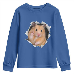 Funny Curious Hamster Peeking Through A Cracked Wall Meme Youth Sweatshirt TS12 Royal Blue Print Your Wear