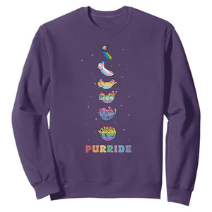 Purride Rainbow Cat Moon Cycles Sweatshirt LGBQT Pride Feline Space