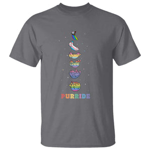 Purride Rainbow Cat Moon Cycles T Shirt LGBQT Pride Feline Space TS12 Charcoal Print Your Wear