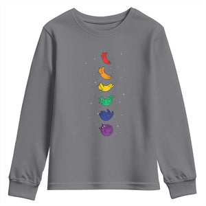 Funny Purride Cats In Space Rainbow Youth Sweatshirt LGBQT Pride Feline Space
