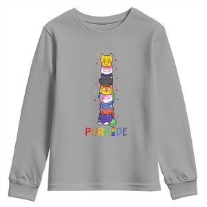 Funny Purride Stacked Cats Pride Youth Sweatshirt Cute LGBTQ Cat Lover TS12 Sport Gray Print Your Wear