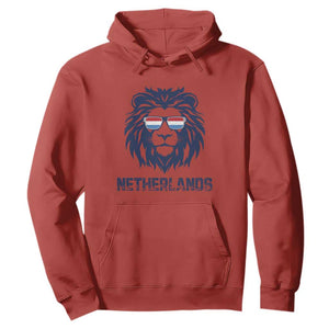 Cool Dutch Lion With Sunglasses Hoodie Netherlands Pride Gift