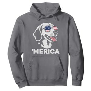 Funny Merica Beagle Lover 4th Of July Hoodie Patriotic Dog Gift