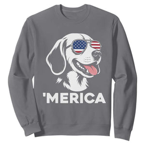 Funny Merica Beagle Lover 4th Of July Sweatshirt Patriotic Dog Gift