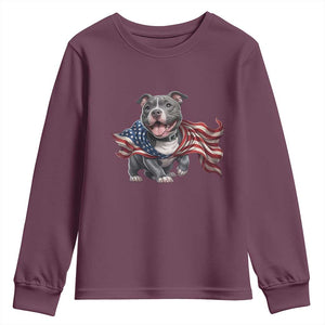 Patriotic Pitbull Dog USA Flag Youth Sweatshirt 4th Of July Pride