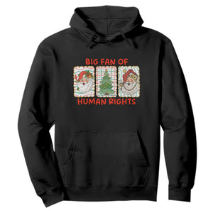 Big Fan Of Human Rights And Equality Hoodie Xmas Activism Gift TS12 Black Print Your Wear