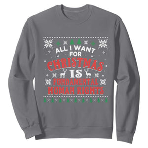 Christmas Gift For Fundamental Human Rights Supporters Sweatshirt - Print Your Wear
