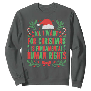 All I Want For Christmas Is Fundamental Human Rights Sweatshirt Pro Democracy Xmas Gift - Print Your Wear
