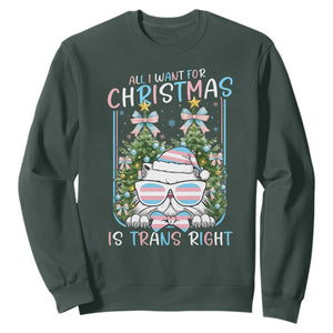Funny Santa Cat Trans Pride Sweatshirt All I Want For Christmas Is Trans Rights TS12 Dark Forest Green Print Your Wear