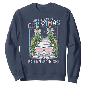 Funny Santa Cat Trans Pride Sweatshirt All I Want For Christmas Is Trans Rights TS12 Navy Print Your Wear