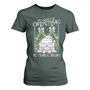 Funny Santa Cat Trans Pride T Shirt For Women All I Want For Christmas Is Trans Rights TS12 Dark Forest Green Print Your Wear