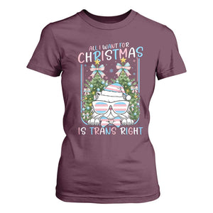 Funny Santa Cat Trans Pride T Shirt For Women All I Want For Christmas Is Trans Rights TS12 Maroon Print Your Wear