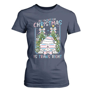 Funny Santa Cat Trans Pride T Shirt For Women All I Want For Christmas Is Trans Rights TS12 Navy Print Your Wear