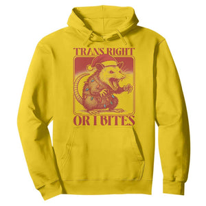 Funny Fierce Opossum Santa Hoodie Trans Right Or I Bites Christmas Gift TS12 Daisy Print Your Wear