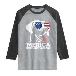 Merica Labrador Retriever Lover Raglan Shirt 250th Anniversary Gift TS12 Heather Gray Heather Charcoal Print Your Wear