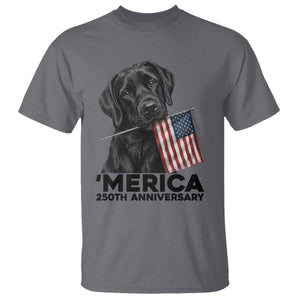 Patriotic Labrador Retriever T Shirt America 250th Anniversary Gift TS12 Charcoal Print Your Wear