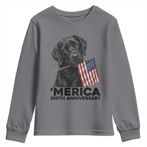 Patriotic Labrador Retriever Youth Sweatshirt America 250th Anniversary Gift TS12 Charcoal Print Your Wear