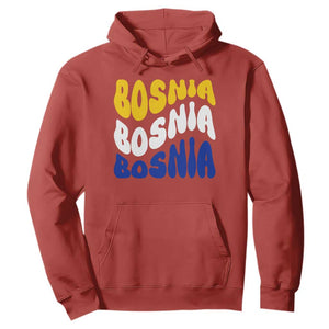 Groovy Retro Bosnia Hoodie Proud Bosnian Balkan Heritage Gift