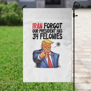 Iran Forgot Our President Has 34 Felonies Garden Flag Funny Political Satire TS12 Print Your Wear