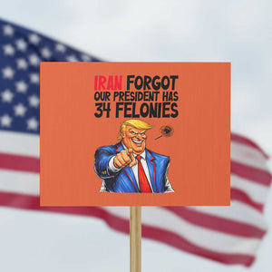 Iran Forgot Our President Has 34 Felonies Protest Sign Funny Political Satire TS12 Horizontal 18" × 24" Orange Print Your Wear