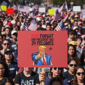 Iran Forgot Our President Has 34 Felonies Protest Sign Funny Political Satire TS12 Horizontal 18" × 24" Red Print Your Wear