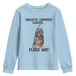 Funny Cat Meme Sarcastic Youth Sweatshirt Sarcastic Comment Loading TS12 Light Blue Print Your Wear
