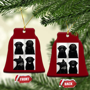 Funny Black Lab Ceramic Ornament Photobooth Selfie Dog Mom Gift TS12 Print Your Wear