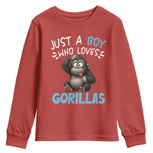 Funny Gorilla Lover Gift Youth Sweatshirt Just A Boy Who Loves Gorillas TS12 Red Print Your Wear