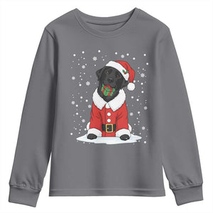 Black Labrador Santa Youth Sweatshirt Funny Christmas Dog Lover Gift TS12 Charcoal Print Your Wear