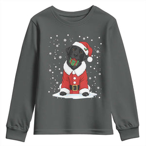 Black Labrador Santa Youth Sweatshirt Funny Christmas Dog Lover Gift TS12 Dark Heather Print Your Wear