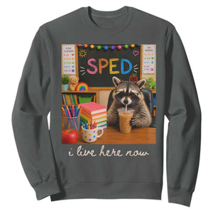 Funny SPED Raccoon Teacher Sweatshirt I Live Here Now