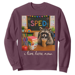 Funny SPED Raccoon Teacher Sweatshirt I Live Here Now