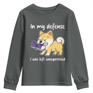 Sarcastic Dog Lover Youth Sweatshirt In My Defense I Was Left Unsupervised TS12 Dark Heather Print Your Wear
