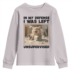 Funny Cat Humor Youth Sweatshirt In My Defense I Was Left Unsupervised TS12 Ice Gray Print Your Wear