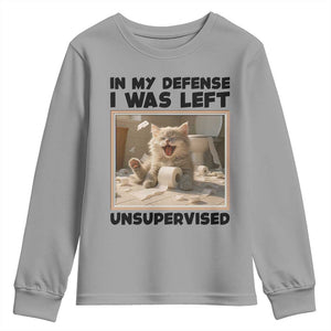 Funny Cat Humor Youth Sweatshirt In My Defense I Was Left Unsupervised TS12 Sport Gray Print Your Wear